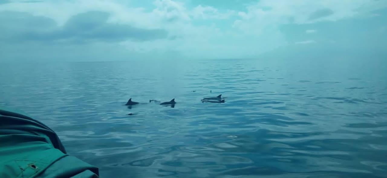 Wasini Raha Snorkeling And Divingアパートメント エクステリア 写真